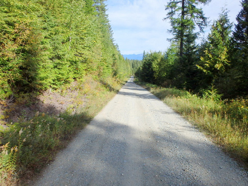 Many miles of riding like this today.